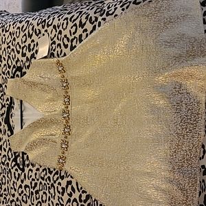 Beautiful gold sleeveless plunge neckline Aline dress.